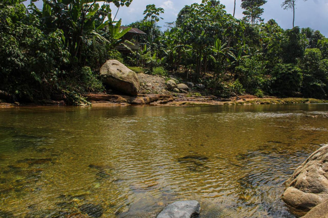 Ingaru Lodge & Reserve Pano Buitenkant foto