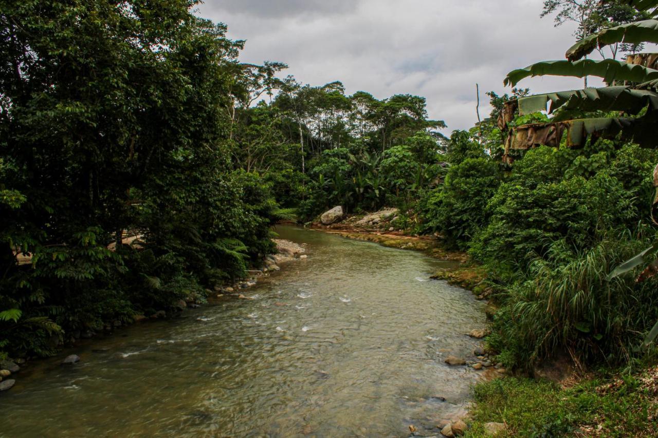 Ingaru Lodge & Reserve Pano Buitenkant foto